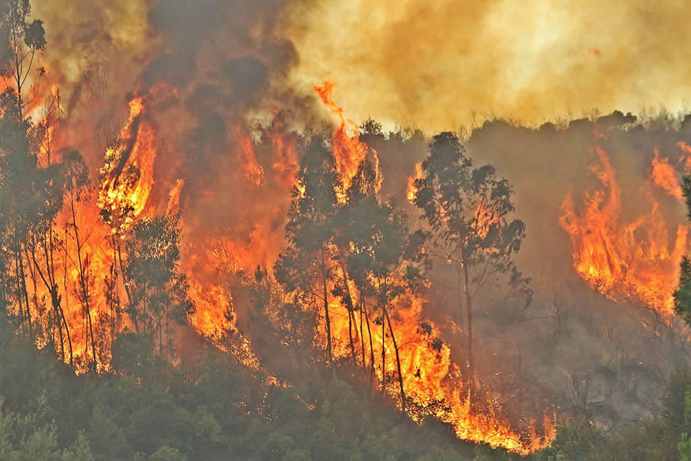 Sul Informação - GNR promove sessões de esclarecimento sobre incêndios em Silves e Algoz