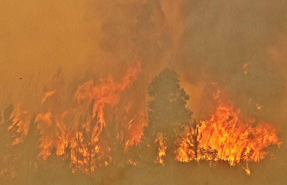 Sul Informação - Incêndio lavra na encosta Norte da Serra de Monchique (em atualização)