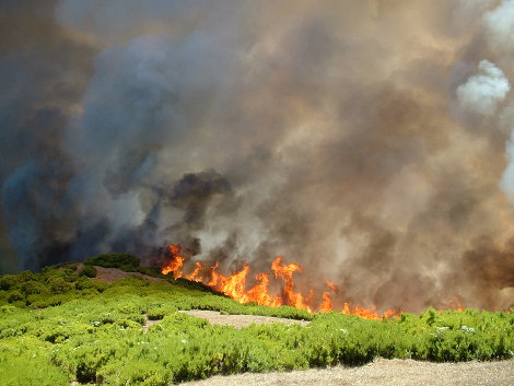 Sul Informação - Incêndio em Monchique já foi dominado