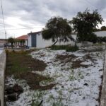 Sul Informação - Chuva forte e granizo provocam prejuízos em Alcoutim
