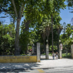 Sul Informação - Mata do Liceu e Jardim da Alameda vão estar requalificados em 2021
