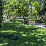 Sul Informação - Mata do Liceu e Jardim da Alameda vão estar requalificados em 2021