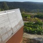 Sul Informação - Este jardim à beira barrocal plantado