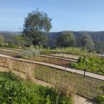 Sul Informação - Este jardim à beira barrocal plantado