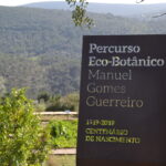 Sul Informação - Este jardim à beira barrocal plantado