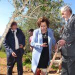 Sul Informação - Este jardim à beira barrocal plantado
