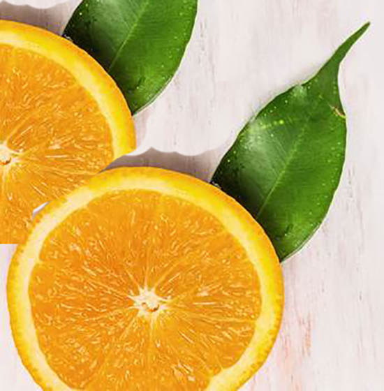 Sul Informação - Silves lança nova marca para promover a sua Laranja