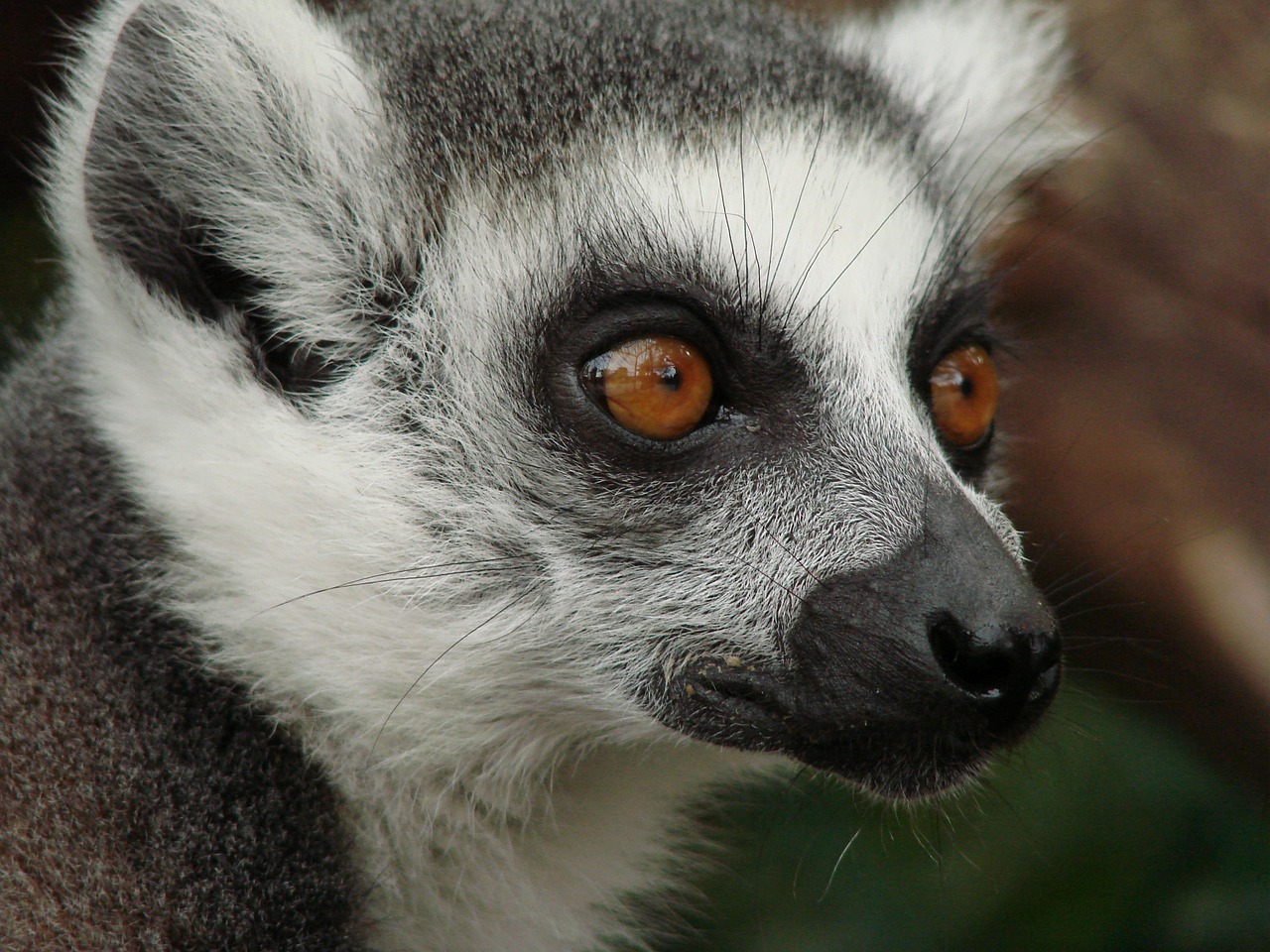 Sul Informação - Câmara de Lagos apoia Zoo para promover educação ambiental