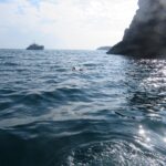 Sul Informação - Ministra do Mar acompanha libertação de 4 meros nos ilhotes do Martinhal em Sagres