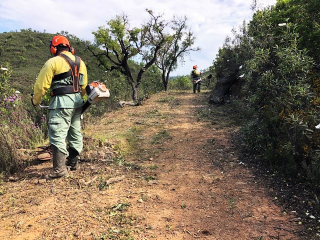 Sul Informação - Sapadores Florestais de São Brás estão em trabalhos de prevenção de incêndios rurais