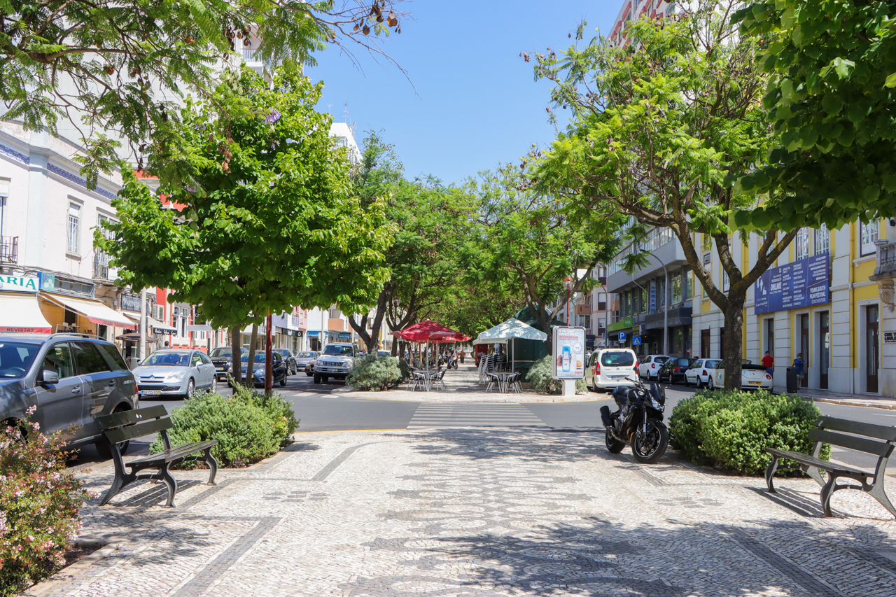 Sul Informação - Orçamento da Câmara de Loulé atinge quase 250 milhões de euros em 2024