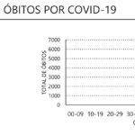 Sul Informação - Internamentos nos hospitais e óbitos por Covid-19 mantêm-se muito abaixo dos números de há um ano