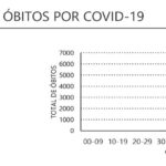 Sul Informação - Covid-19: Algarve tem mais 381 casos em dia sem novos óbitos na região