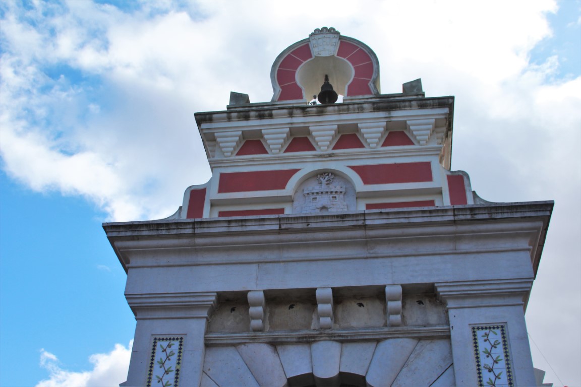 Sul Informação - Remoção de ninhos de andorinha no Mercado de Loulé feita dentro da lei