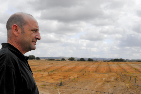 Sul Informação - Amigos de Miguel Portas encontram-se em Tavira