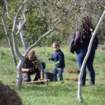 Sul Informação - Montanha Verde plantou 42 mil árvores em oito concelhos algarvios