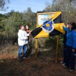 Sul Informação - Montanha Verde plantou 42 mil árvores em oito concelhos algarvios