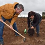 Sul Informação - Montanha Verde plantou 42 mil árvores em oito concelhos algarvios