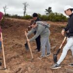 Sul Informação - Montanha Verde plantou 42 mil árvores em oito concelhos algarvios