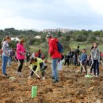 Sul Informação - Montanha Verde plantou 42 mil árvores em oito concelhos algarvios