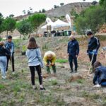 Sul Informação - Montanha Verde plantou 42 mil árvores em oito concelhos algarvios