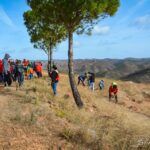 Sul Informação - Montanha Verde plantou 42 mil árvores em oito concelhos algarvios