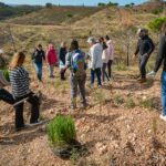 Sul Informação - Montanha Verde plantou 42 mil árvores em oito concelhos algarvios