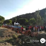 Sul Informação - Montanha Verde plantou 42 mil árvores em oito concelhos algarvios