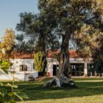 Sul Informação - Autocarro Hop On Hop Off vai levá-lo a provar vinhos pelo Algarve 