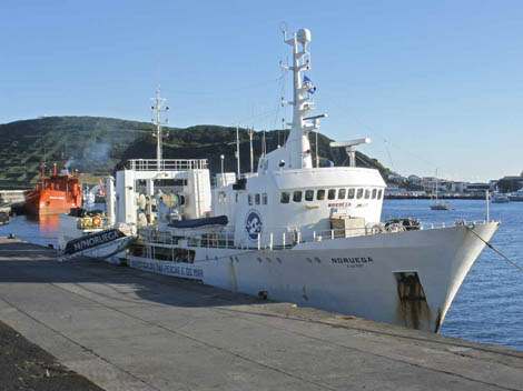 Sul Informação - Cientistas estudam carapau e pescada de Caminha a Vila Real de Santo António