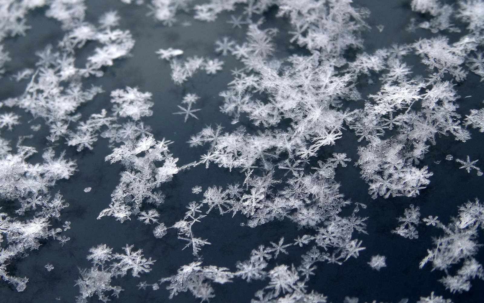 Sul Informação - Este fim de semana vai nevar em Loulé