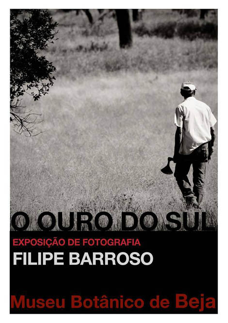 Sul Informação - Museu Botânico do Instituto Politécnico de Beja dá a conhecer «O Ouro do Sul»