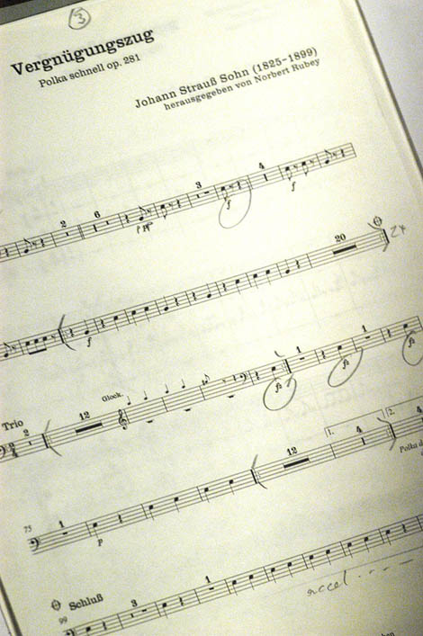 Sul Informação - Orquestra do Algarve abre audições para admitir três novos instrumentistas
