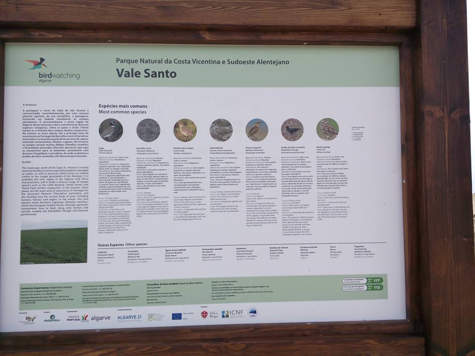 Sul Informação - Vila do Bispo instala nove painéis informativos de birdwatching