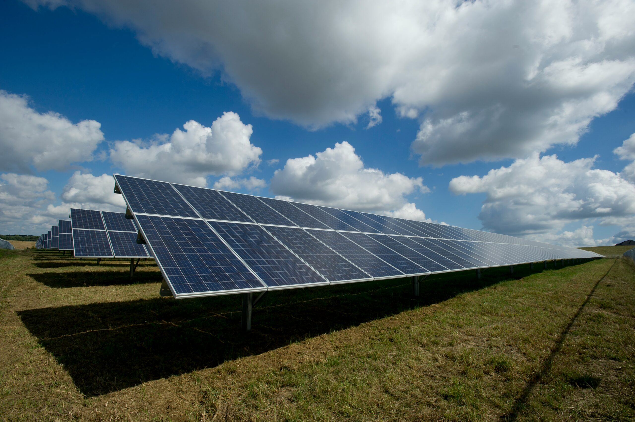 Sul Informação - Central Solar: Moradores de Larga Vista acusam Neoen de «distorção da verdade»
