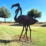 Sul Informação - Artista Tó Quintas pôs cinco espécies “à solta” no Parque Ribeirinho de Faro