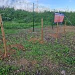Sul Informação - Faro ganha mais um parque canino