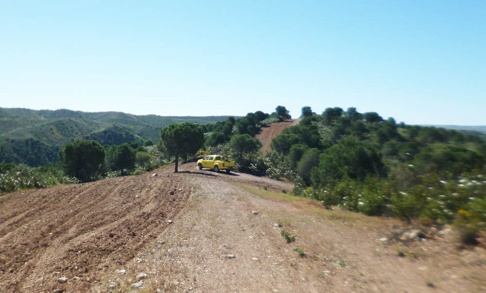 Sul Informação - Câmara Municipal de Mértola faz trabalhos para prevenir incêndios no seu Perímetro Florestal