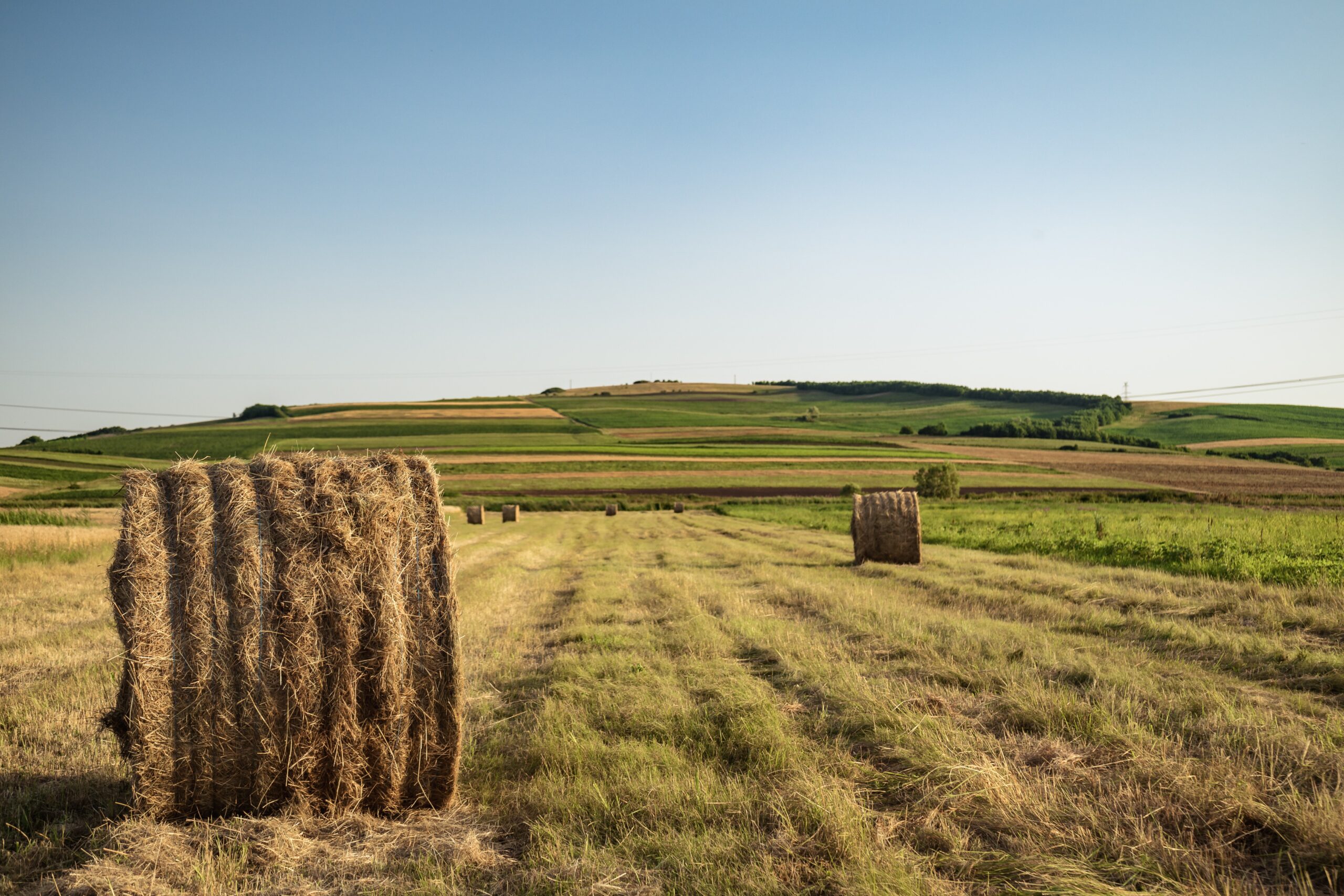 Sul Informação - Dirigentes Associativos do Baixo Alentejo e Algarve preocupados com o futuro da agricultura portuguesa