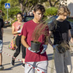 Sul Informação - Caloiros da UAlg lançaram “mãos à terra” e plantaram espécies nativas no Campus de Gambelas