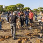 Sul Informação - Caloiros da UAlg lançaram “mãos à terra” e plantaram espécies nativas no Campus de Gambelas