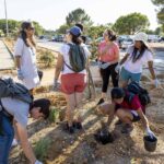 Sul Informação - Caloiros da UAlg lançaram “mãos à terra” e plantaram espécies nativas no Campus de Gambelas