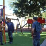 Sul Informação - Podas de árvores no Jardim da Alameda feitas «em nome da segurança»