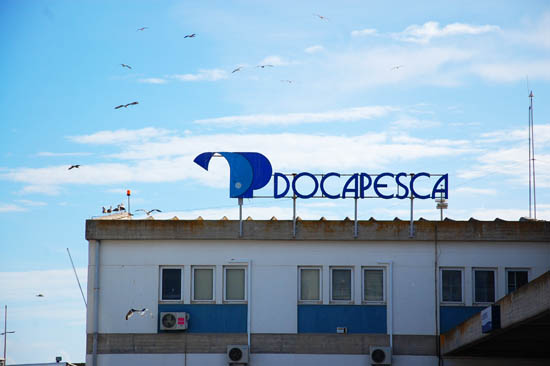 Sul Informação - Empresas instaladas no Porto de Pesca de Portimão não querem portaria fechada