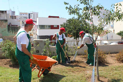 Sul Informação - Projeto «Portimão mais Verde» entre a polémica e os elogios