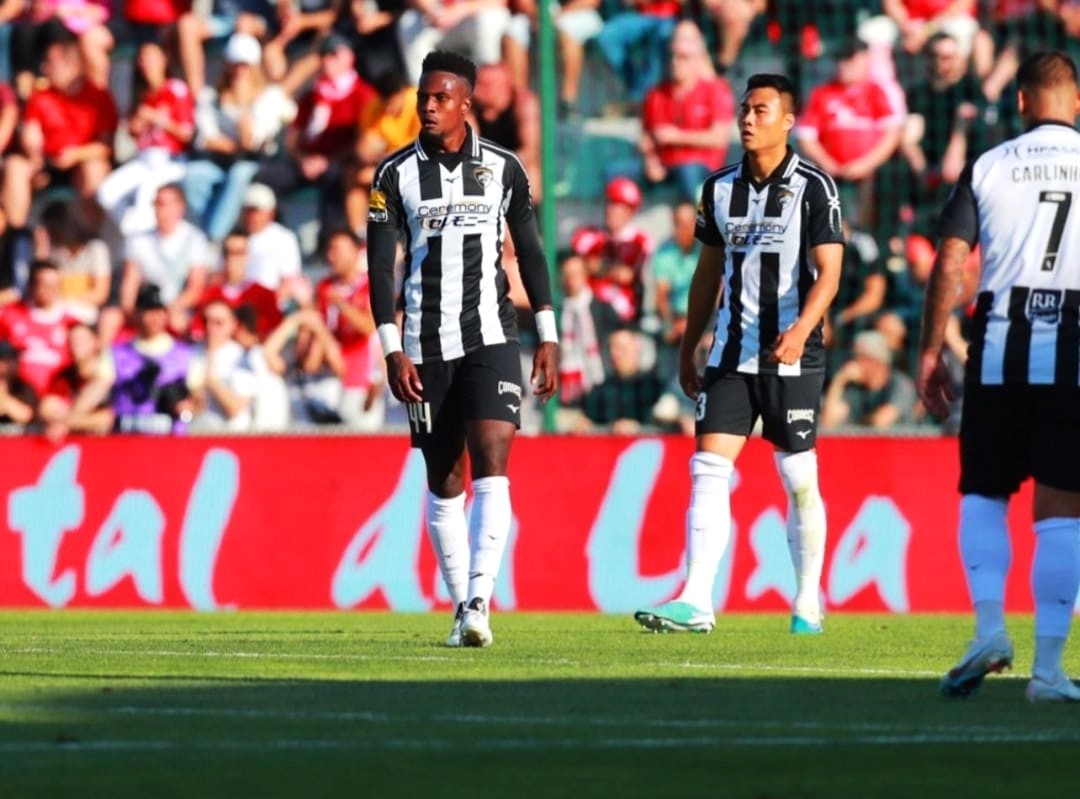 Sul Informação - Portimonense goleado por Benfica mais perto do título