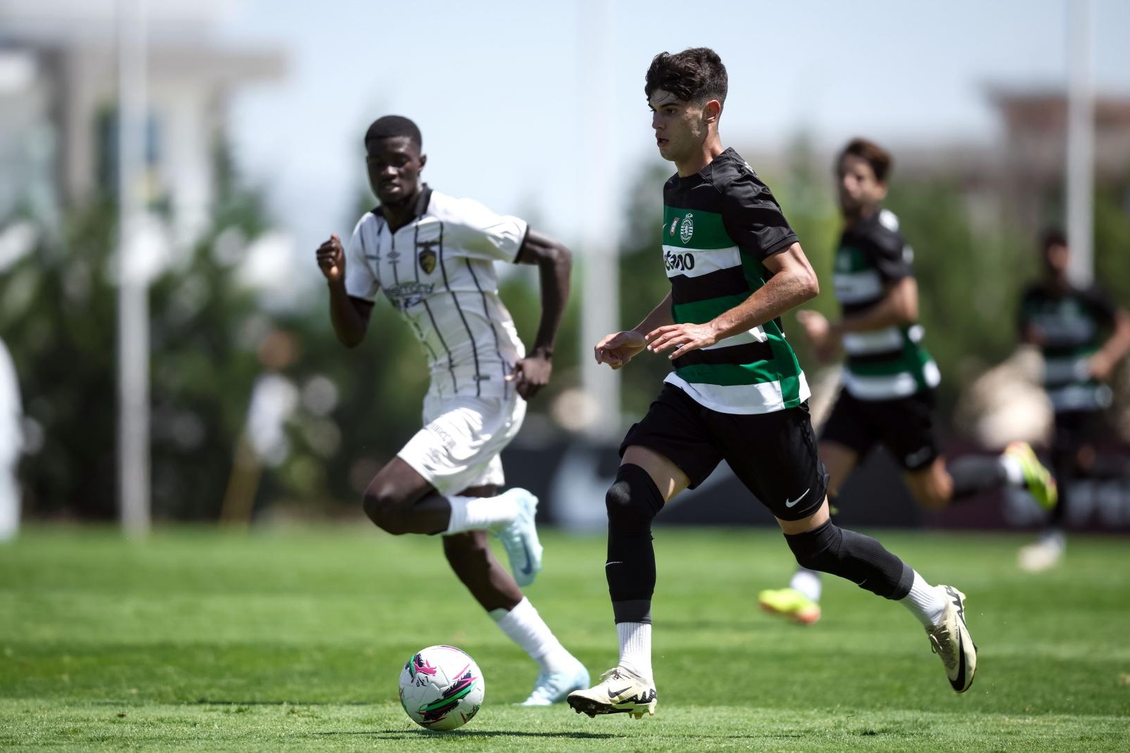 Sul Informação - Portimonense batido pelo Sporting no segundo encontro da pré-época