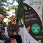 Sul Informação - GuadiMonte quer reflorestar 34 hectares em Castro Marim