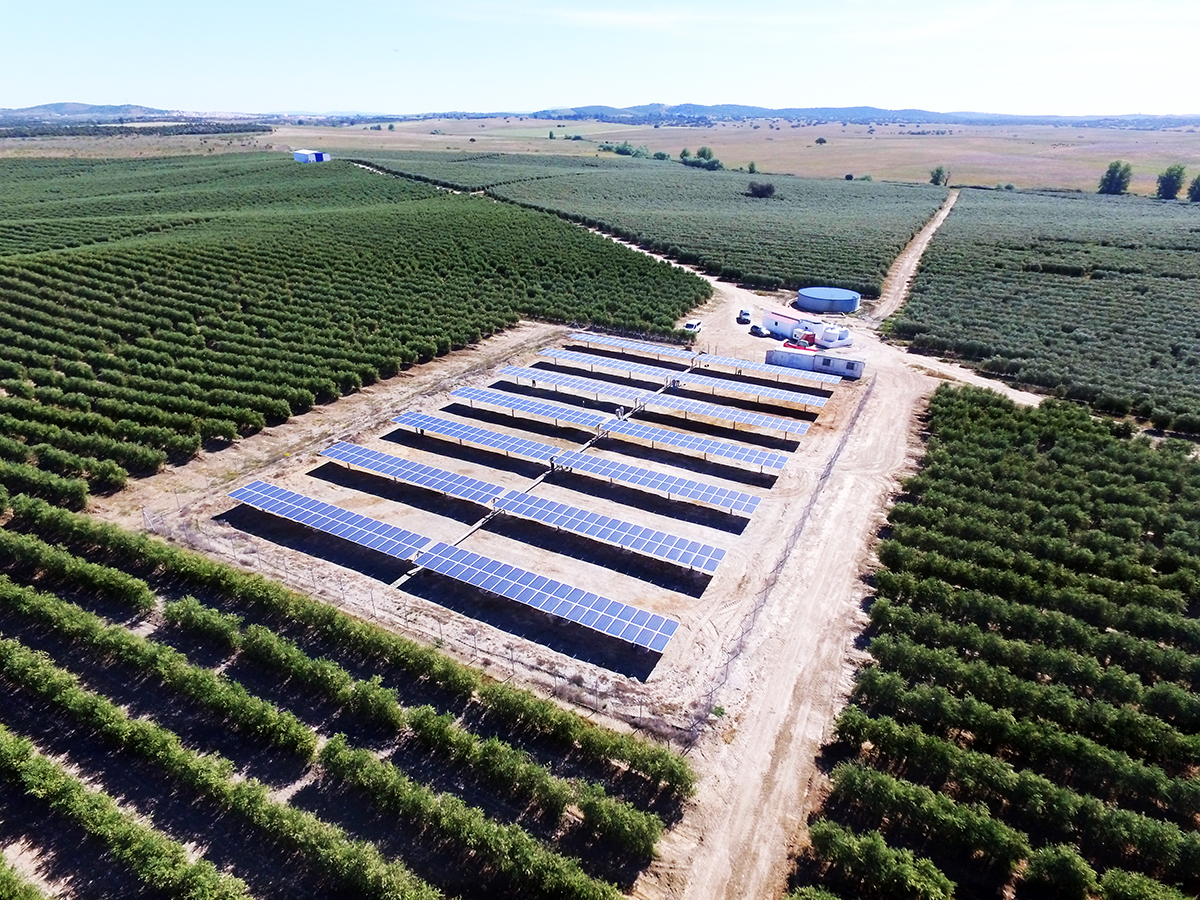 Sul Informação - Universidade de Évora integra projeto multinacional SolAqua que promove irrigação com zero emissões