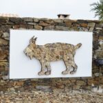Sul Informação - Há três linces para visitar nas aldeias de Giões, Pereiro e Furnazinhas